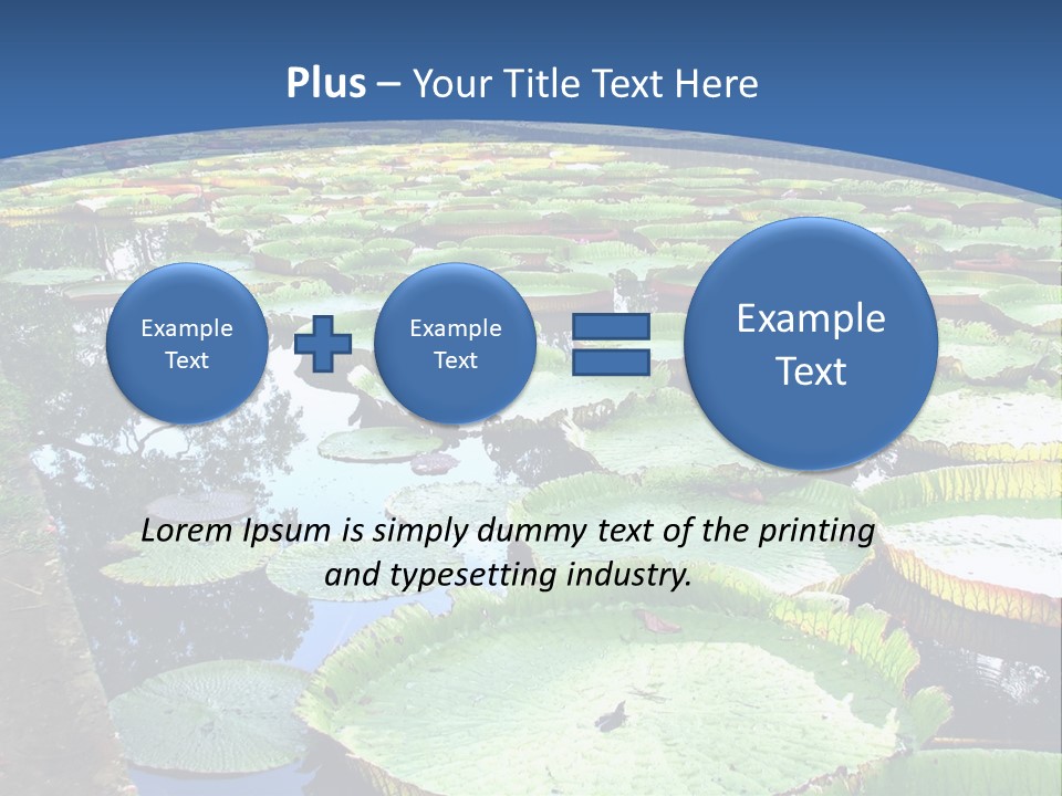 A Large Pond Filled With Water Lilies In The Middle Of A Forest PowerPoint Template
