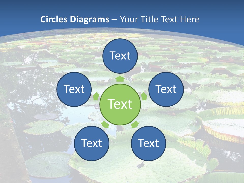 A Large Pond Filled With Water Lilies In The Middle Of A Forest PowerPoint Template