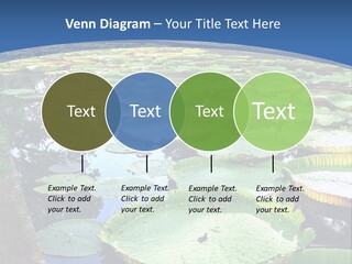 A Large Pond Filled With Water Lilies In The Middle Of A Forest PowerPoint Template