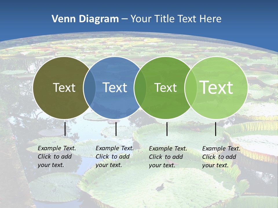 A Large Pond Filled With Water Lilies In The Middle Of A Forest PowerPoint Template