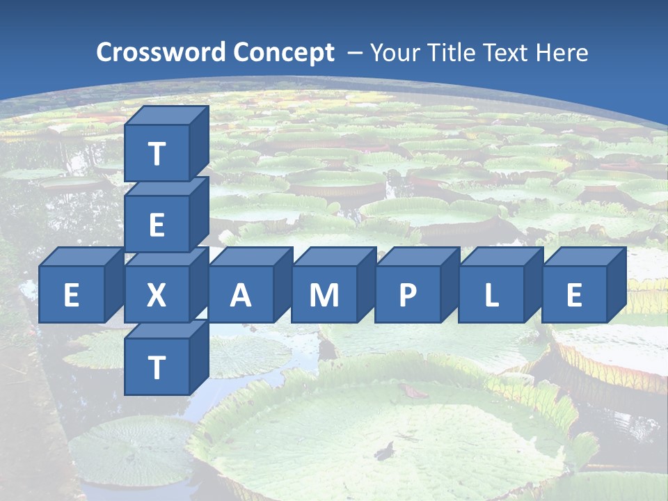 A Large Pond Filled With Water Lilies In The Middle Of A Forest PowerPoint Template