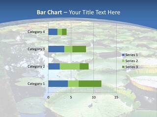 A Large Pond Filled With Water Lilies In The Middle Of A Forest PowerPoint Template