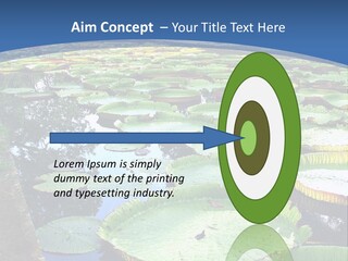 A Large Pond Filled With Water Lilies In The Middle Of A Forest PowerPoint Template