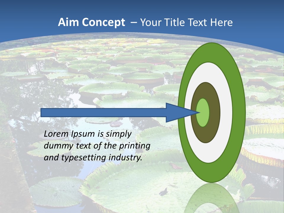A Large Pond Filled With Water Lilies In The Middle Of A Forest PowerPoint Template