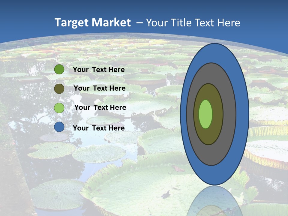 A Large Pond Filled With Water Lilies In The Middle Of A Forest PowerPoint Template