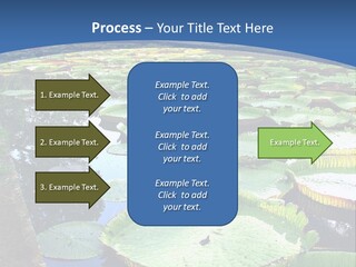 A Large Pond Filled With Water Lilies In The Middle Of A Forest PowerPoint Template