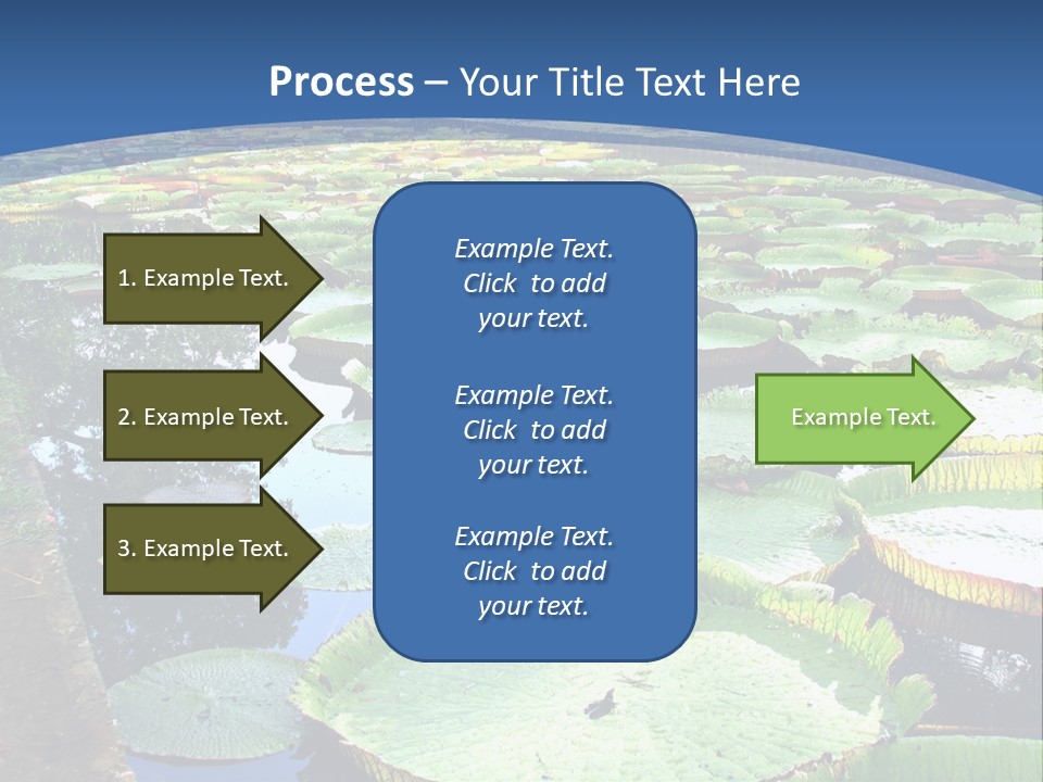 A Large Pond Filled With Water Lilies In The Middle Of A Forest PowerPoint Template