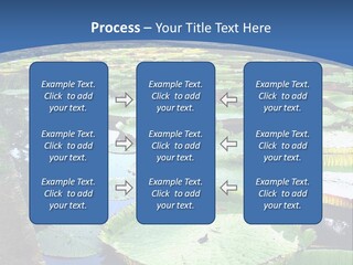 A Large Pond Filled With Water Lilies In The Middle Of A Forest PowerPoint Template