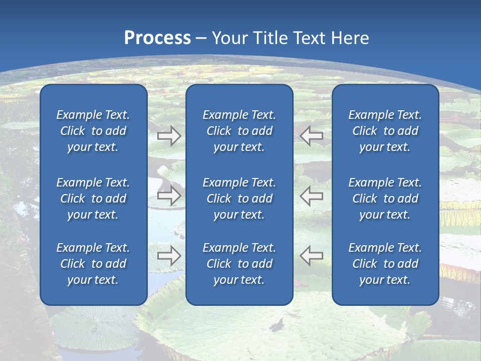 A Large Pond Filled With Water Lilies In The Middle Of A Forest PowerPoint Template