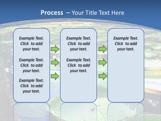 A Large Pond Filled With Water Lilies In The Middle Of A Forest PowerPoint Template