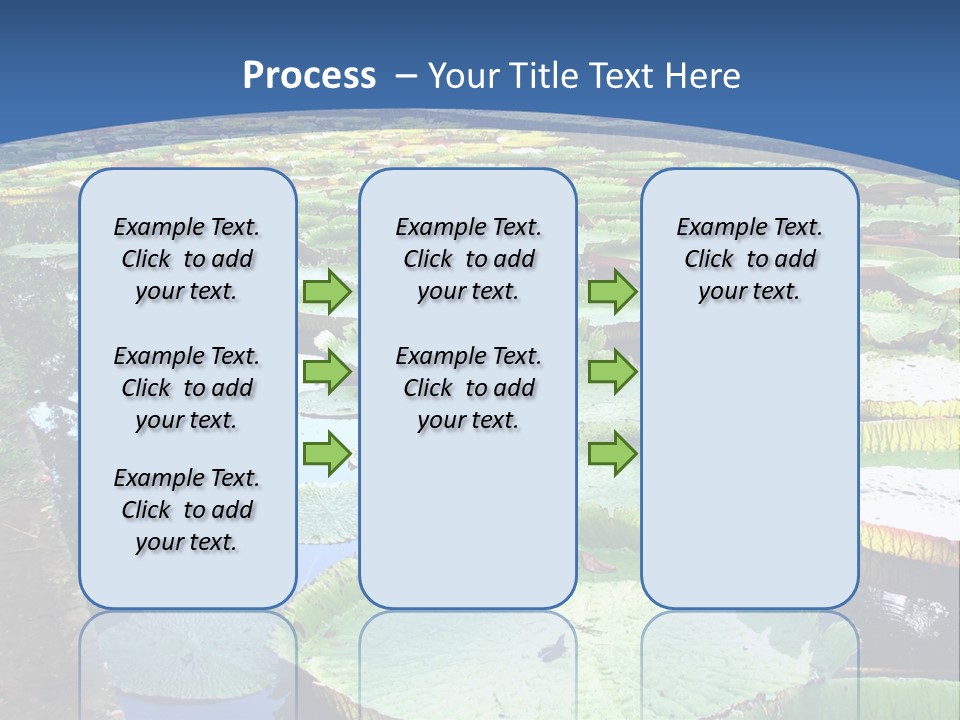 A Large Pond Filled With Water Lilies In The Middle Of A Forest PowerPoint Template
