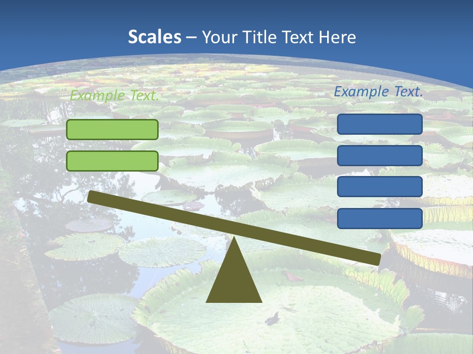 A Large Pond Filled With Water Lilies In The Middle Of A Forest PowerPoint Template