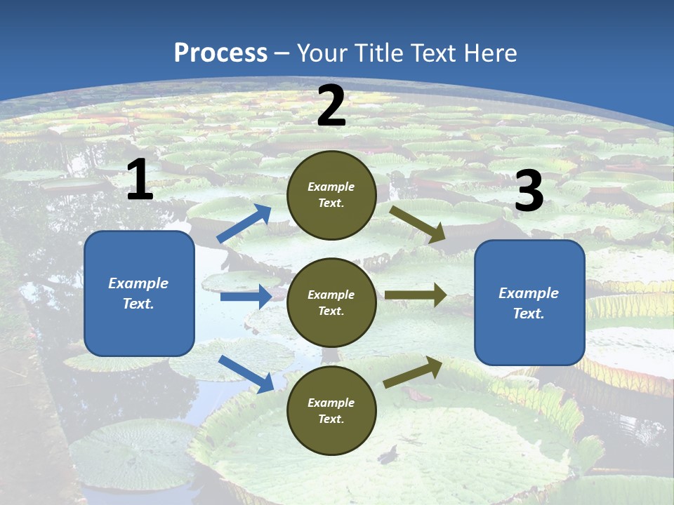 A Large Pond Filled With Water Lilies In The Middle Of A Forest PowerPoint Template