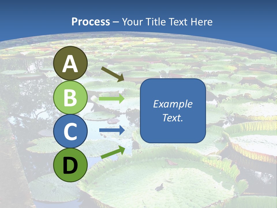 A Large Pond Filled With Water Lilies In The Middle Of A Forest PowerPoint Template