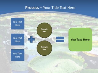 A Large Pond Filled With Water Lilies In The Middle Of A Forest PowerPoint Template
