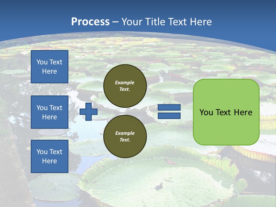 A Large Pond Filled With Water Lilies In The Middle Of A Forest PowerPoint Template