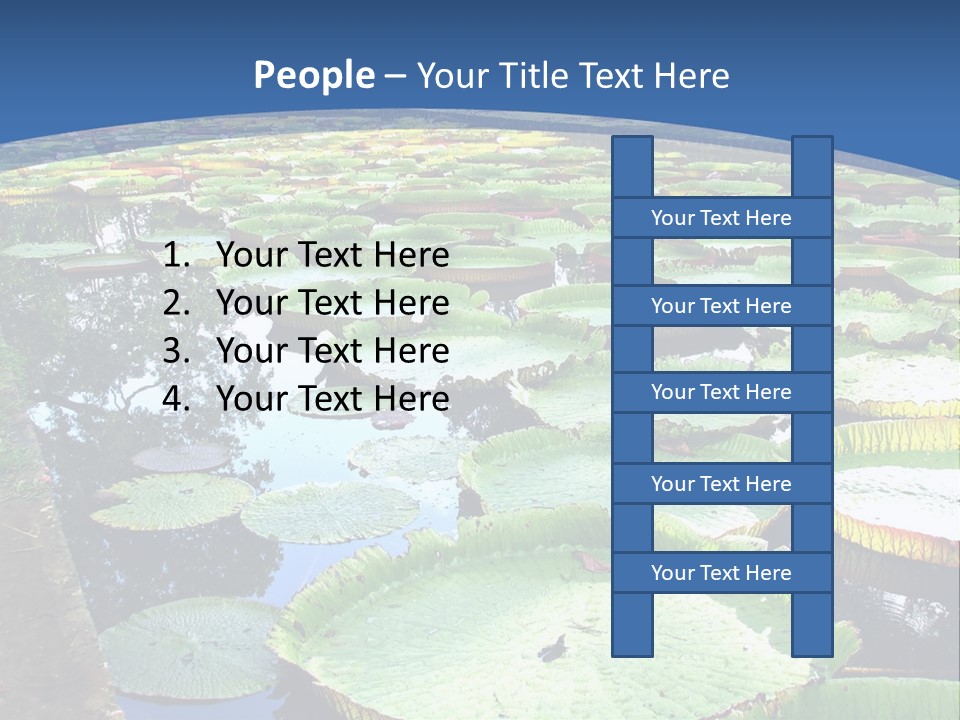 A Large Pond Filled With Water Lilies In The Middle Of A Forest PowerPoint Template