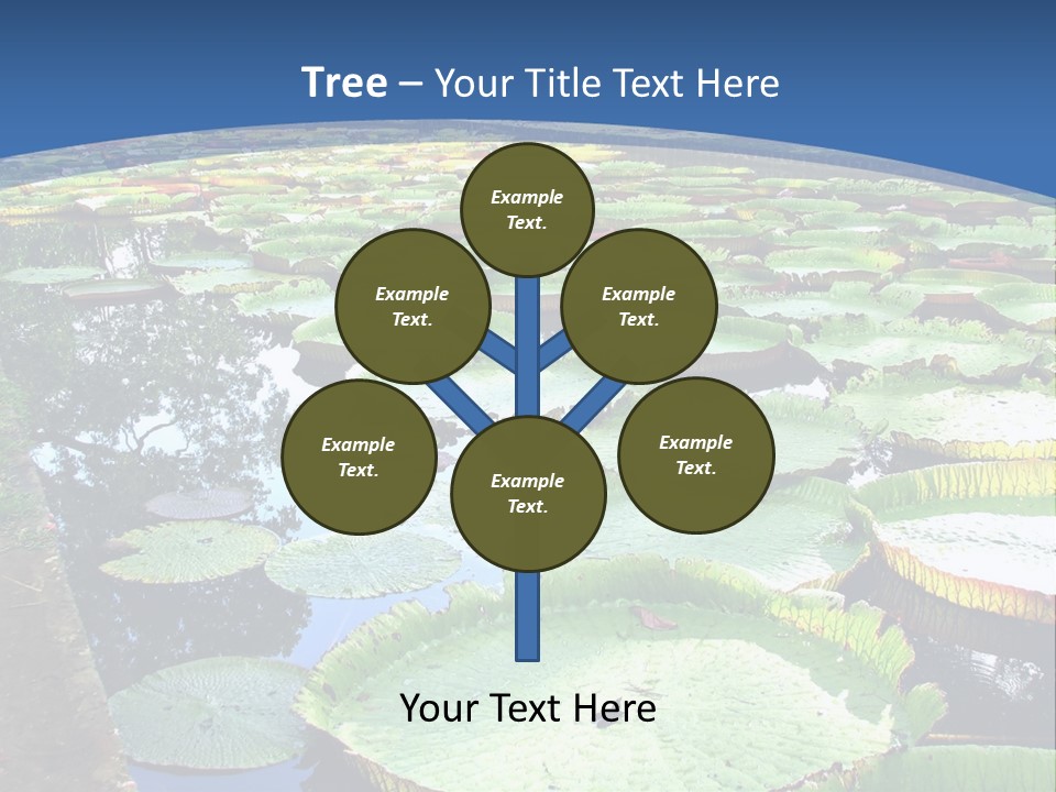 A Large Pond Filled With Water Lilies In The Middle Of A Forest PowerPoint Template