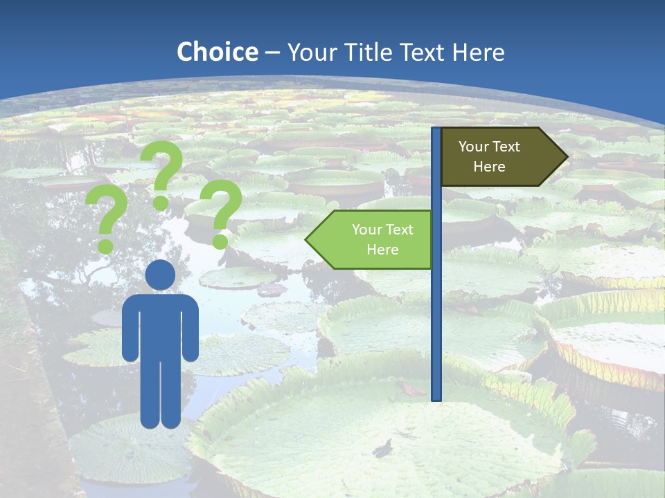 A Large Pond Filled With Water Lilies In The Middle Of A Forest PowerPoint Template