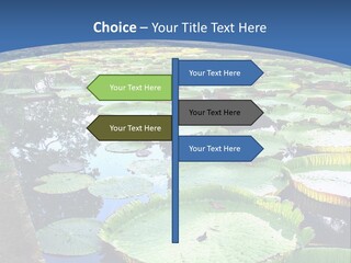 A Large Pond Filled With Water Lilies In The Middle Of A Forest PowerPoint Template