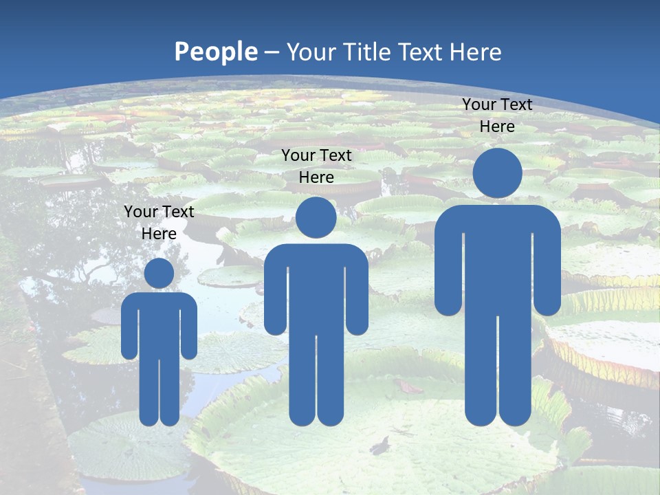 A Large Pond Filled With Water Lilies In The Middle Of A Forest PowerPoint Template