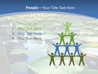 A Large Pond Filled With Water Lilies In The Middle Of A Forest PowerPoint Template