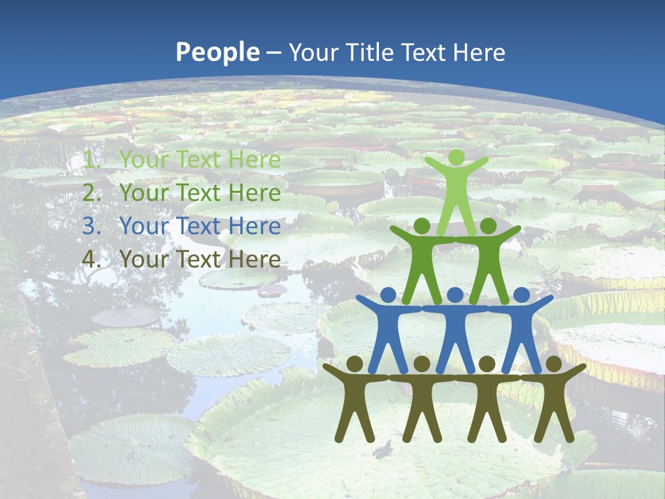 A Large Pond Filled With Water Lilies In The Middle Of A Forest PowerPoint Template