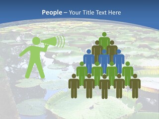 A Large Pond Filled With Water Lilies In The Middle Of A Forest PowerPoint Template