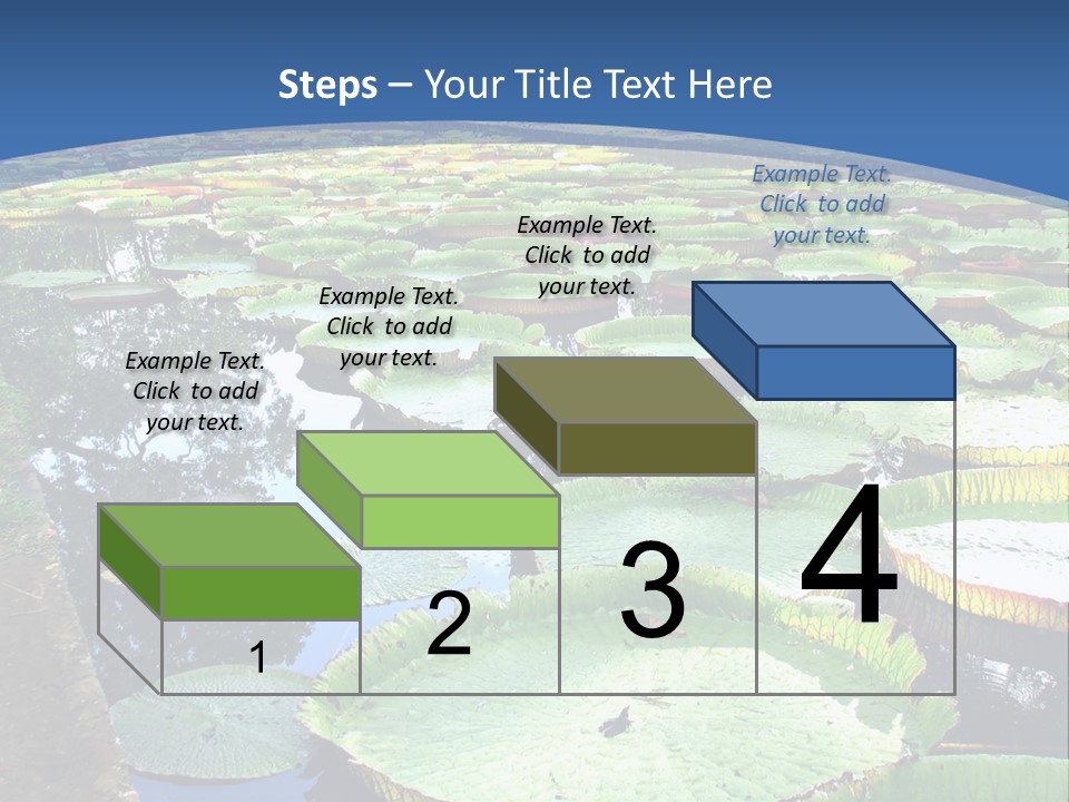 A Large Pond Filled With Water Lilies In The Middle Of A Forest PowerPoint Template