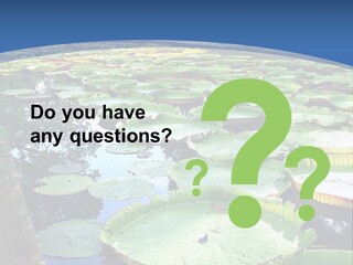 A Large Pond Filled With Water Lilies In The Middle Of A Forest PowerPoint Template