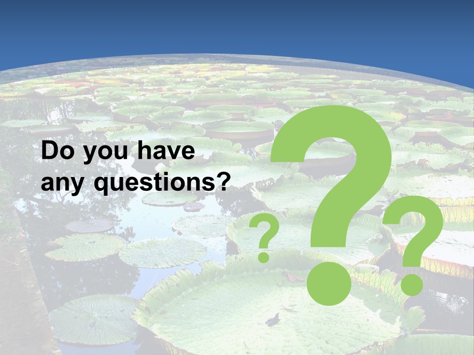 A Large Pond Filled With Water Lilies In The Middle Of A Forest PowerPoint Template