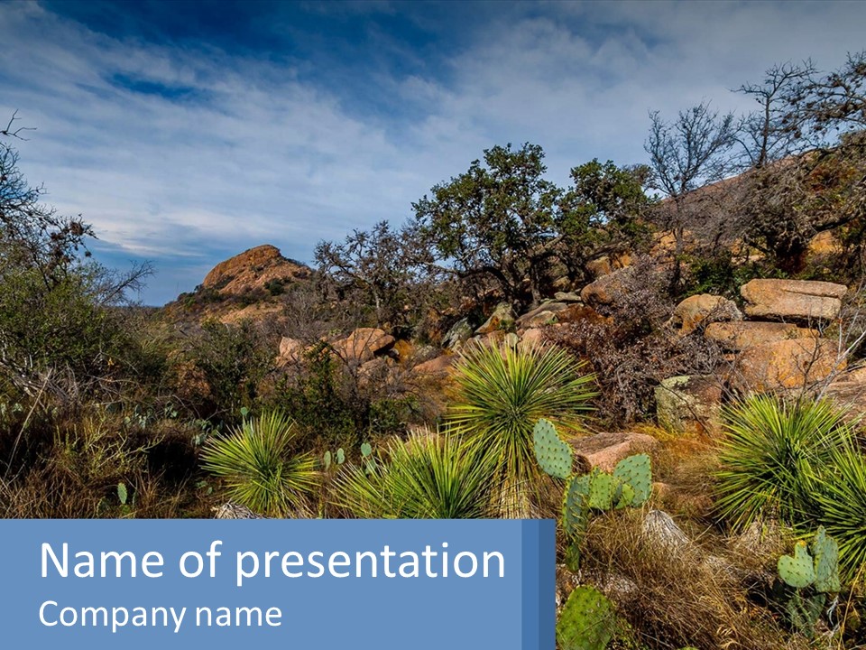 A Rocky Hillside With Cactus Trees And Rocks In The Foreground PowerPoint Template