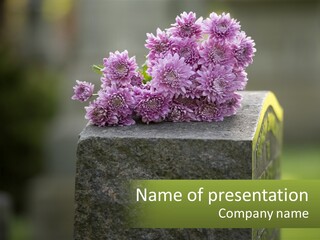 A Bunch Of Purple Flowers Sitting On Top Of A Cement Block PowerPoint Template