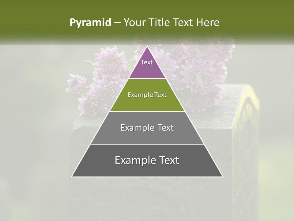 A Bunch Of Purple Flowers Sitting On Top Of A Cement Block PowerPoint Template