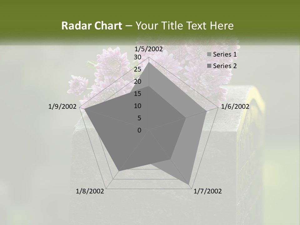 A Bunch Of Purple Flowers Sitting On Top Of A Cement Block PowerPoint Template