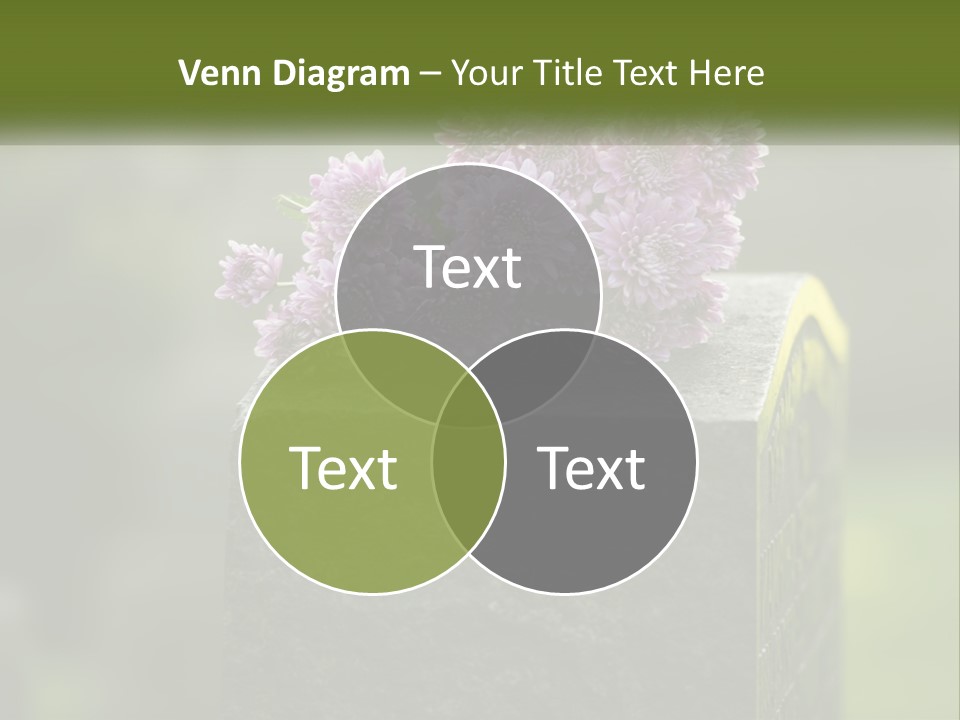 A Bunch Of Purple Flowers Sitting On Top Of A Cement Block PowerPoint Template