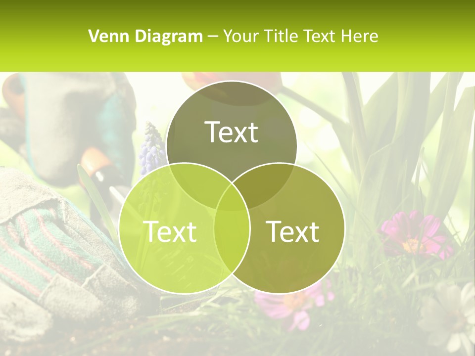 A Person Digging In The Dirt With A Shovel PowerPoint Template