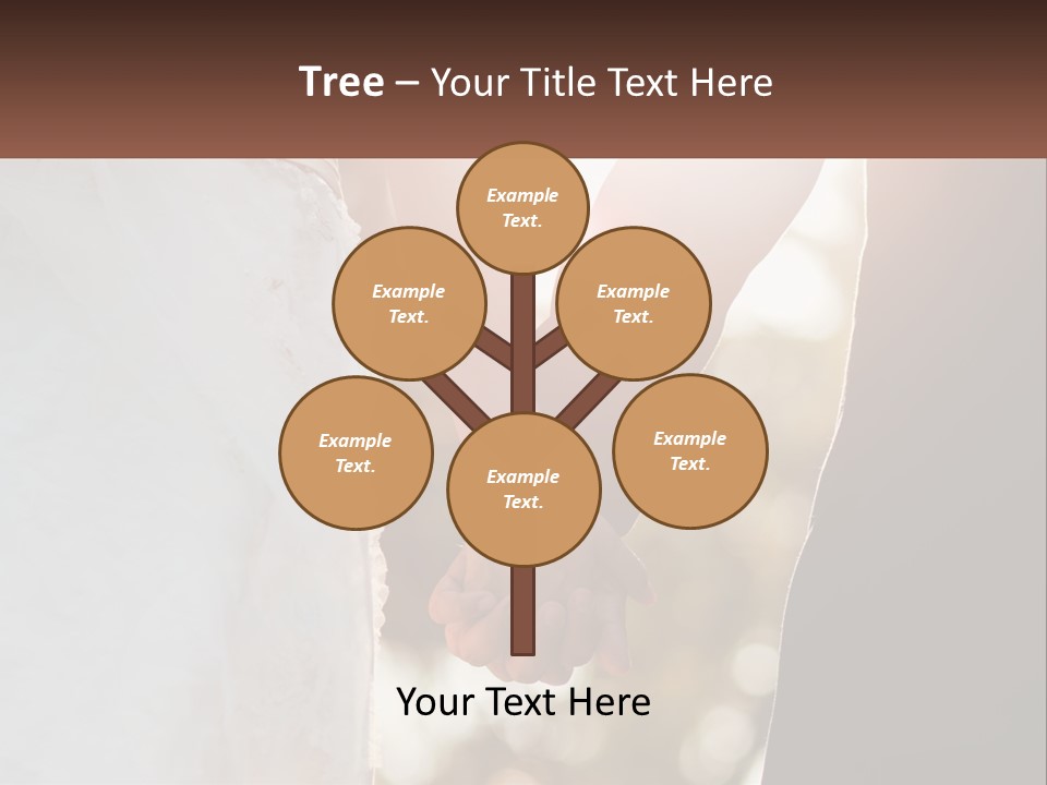 A Couple Holding Hands With The Sun Shining Behind Them PowerPoint Template