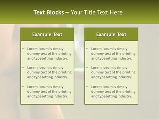 A Woman Smoking A Cigarette With A Green Background PowerPoint Template