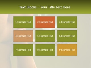 A Woman Smoking A Cigarette With A Green Background PowerPoint Template