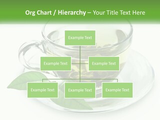 A Cup Of Green Tea With Leaves On A Saucer PowerPoint Template