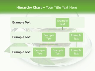 A Cup Of Green Tea With Leaves On A Saucer PowerPoint Template