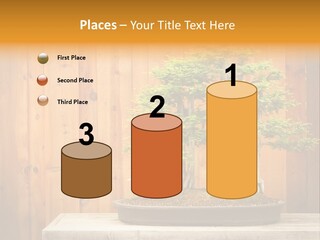 A Bonsai Tree On A Table In Front Of A Wooden Wall PowerPoint Template