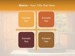 A Bonsai Tree On A Table In Front Of A Wooden Wall PowerPoint Template