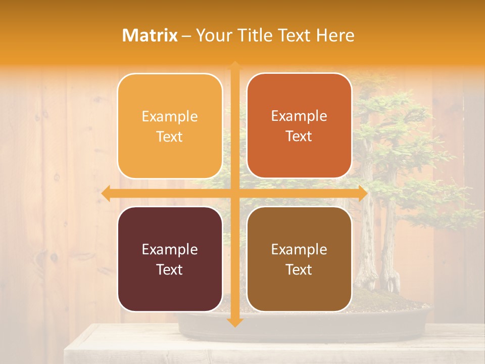 A Bonsai Tree On A Table In Front Of A Wooden Wall PowerPoint Template