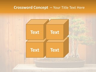 A Bonsai Tree On A Table In Front Of A Wooden Wall PowerPoint Template