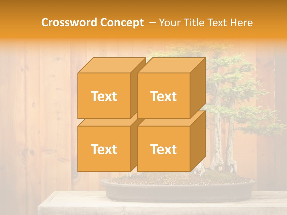 A Bonsai Tree On A Table In Front Of A Wooden Wall PowerPoint Template