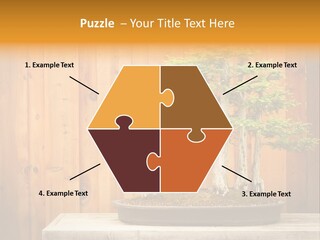 A Bonsai Tree On A Table In Front Of A Wooden Wall PowerPoint Template