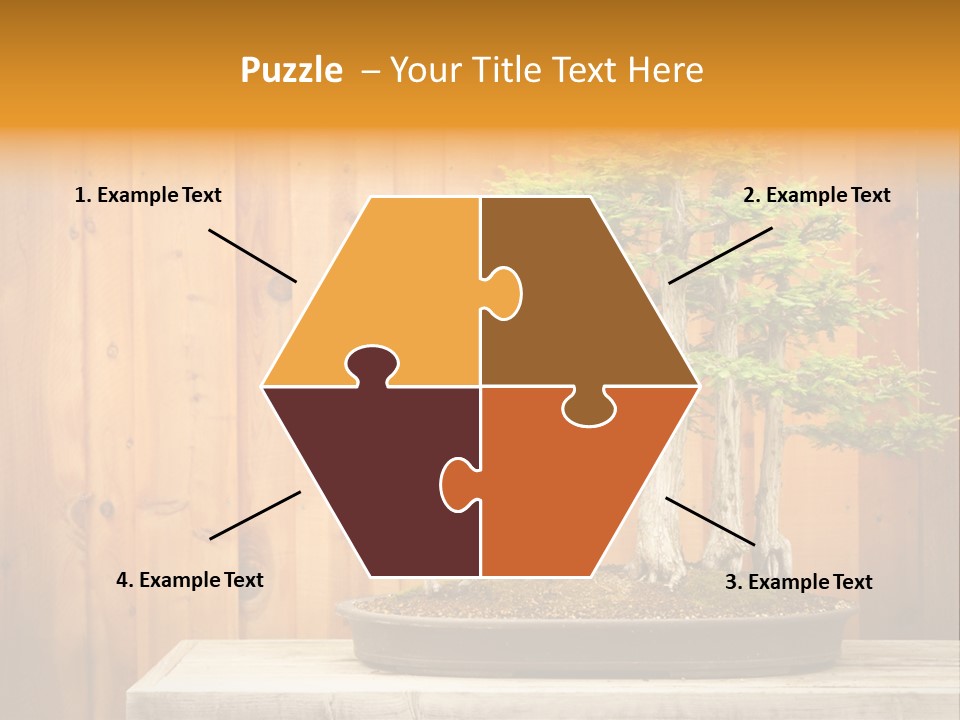 A Bonsai Tree On A Table In Front Of A Wooden Wall PowerPoint Template