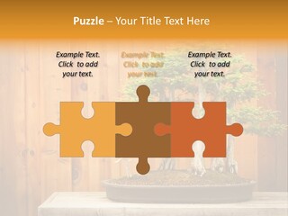 A Bonsai Tree On A Table In Front Of A Wooden Wall PowerPoint Template